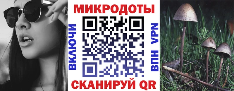 Галлюциногенные грибы Psilocybine cubensis  Северо-Курильск 